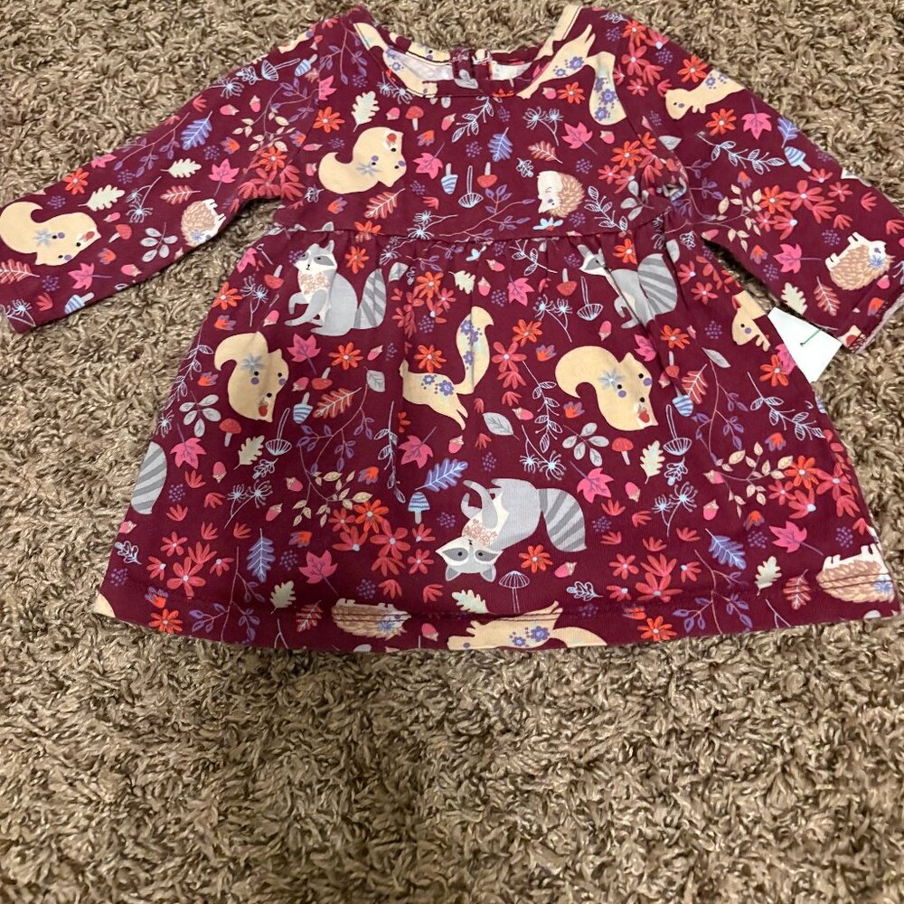 Wonder Nation Animal Print Dress 3-6 Months Raccoon Squirrel Hedgehog Maroon
